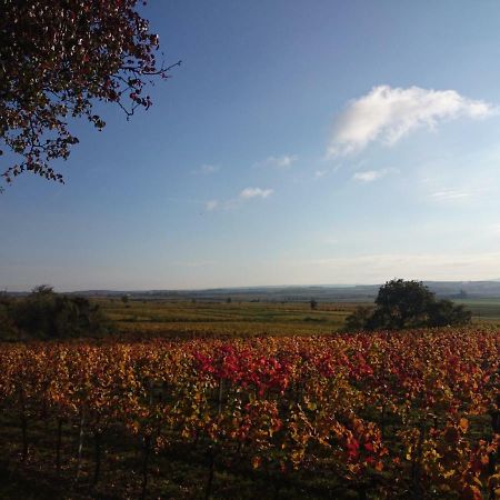 Weingut Wagner Lägenhet Leodagger Exteriör bild