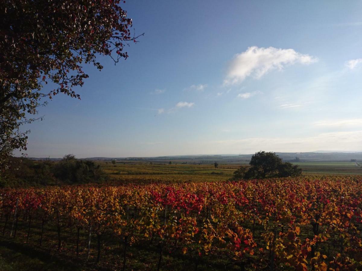 Weingut Wagner Lägenhet Leodagger Exteriör bild